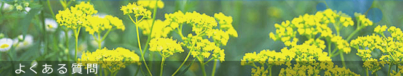 �悭���鎿��