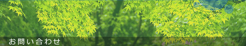 ���₢���킹